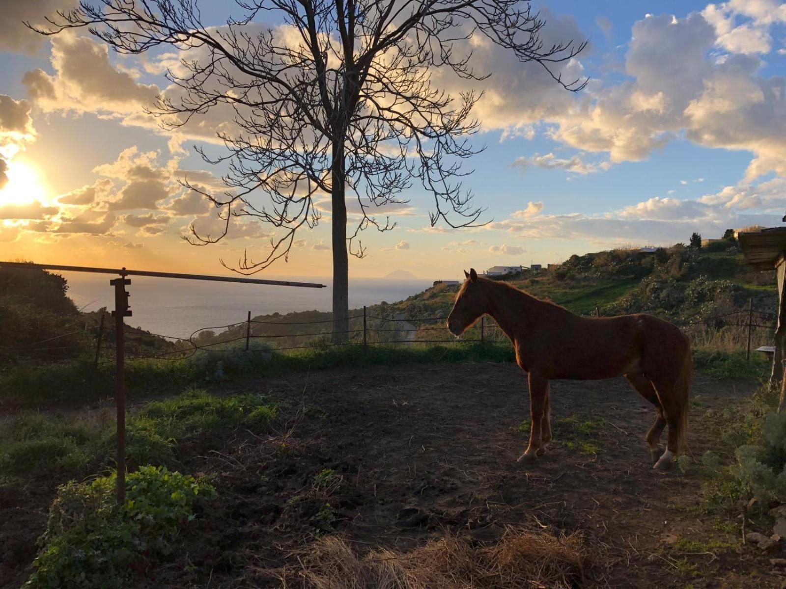 Agriturismo U Zu Peppino Lipari  Exteriér fotografie