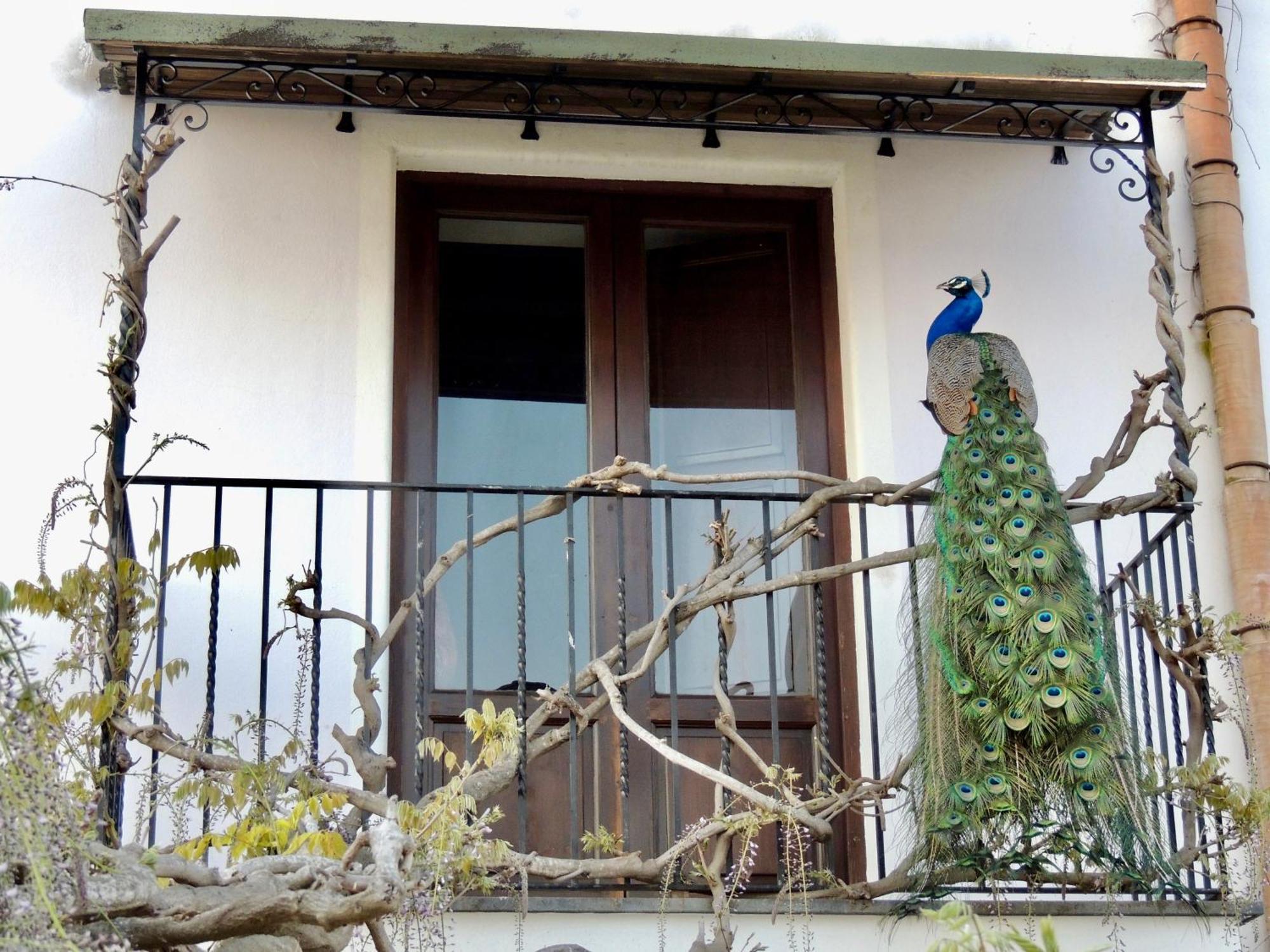 Agriturismo U Zu Peppino Lipari  Exteriér fotografie