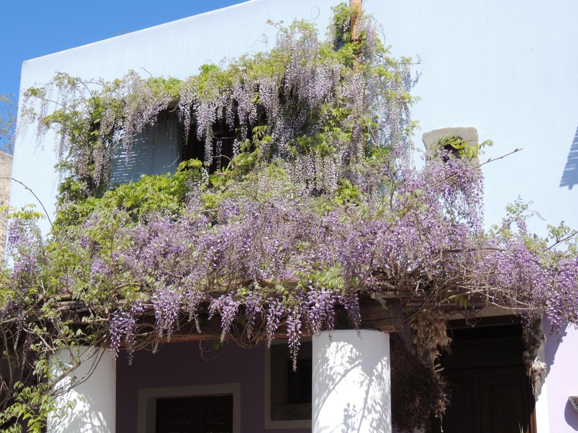 Agriturismo U Zu Peppino Lipari  Exteriér fotografie